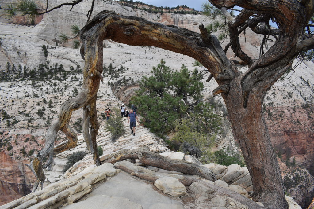 a group of people walking on a rocky mountain trail