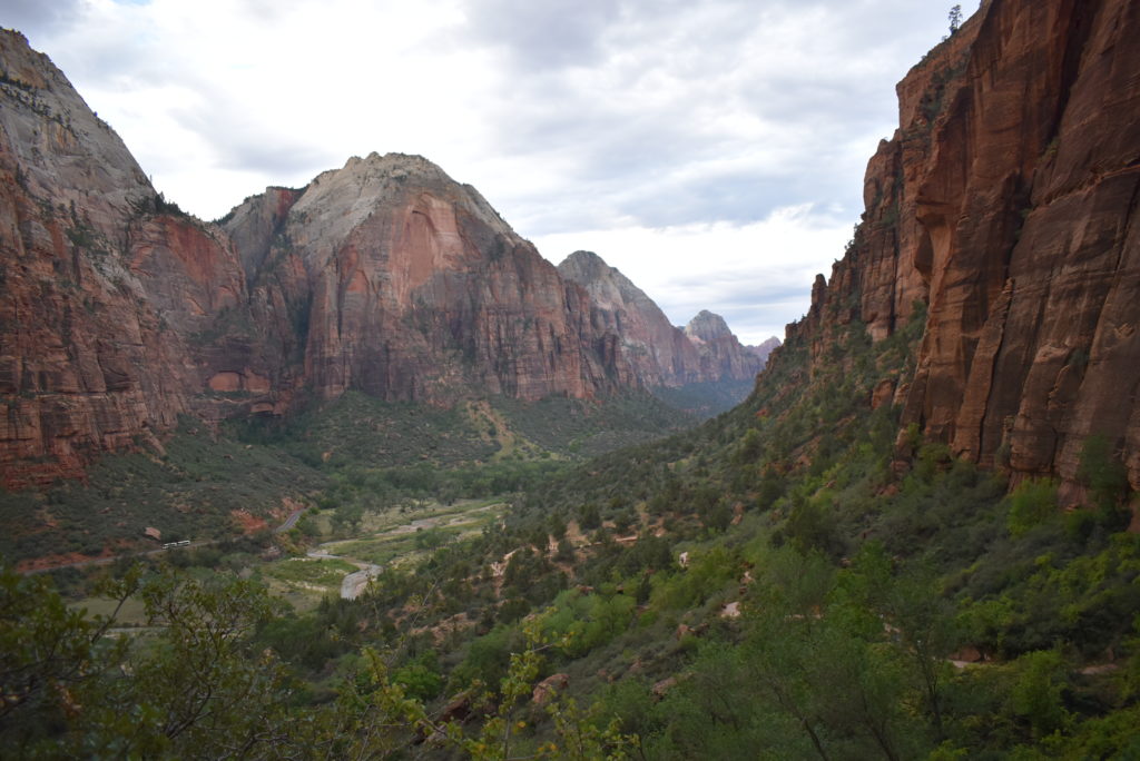 a valley with trees and mountains with Zion National Park in the background