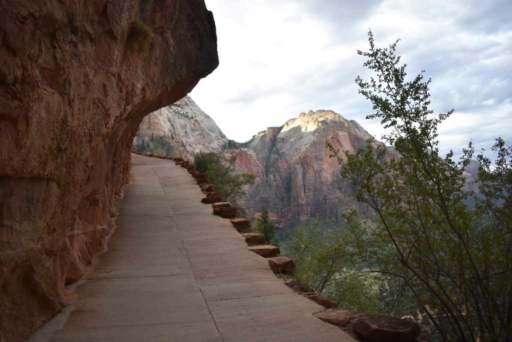 a path leading to a canyon