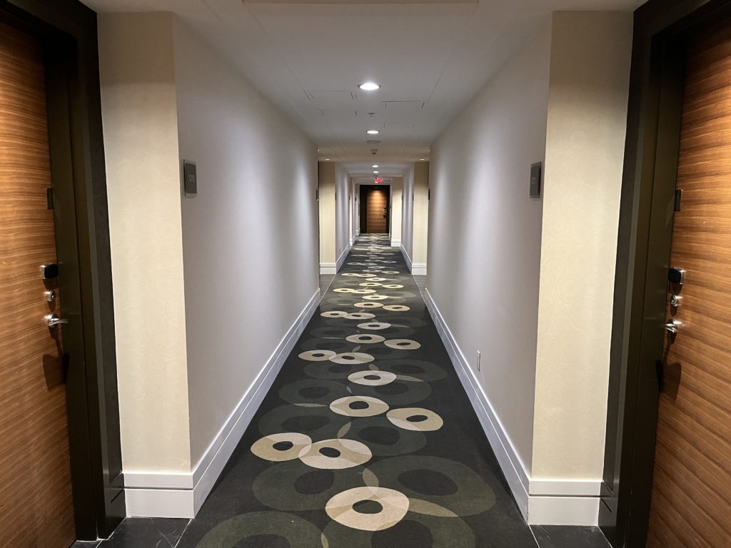 a hallway with a patterned carpet