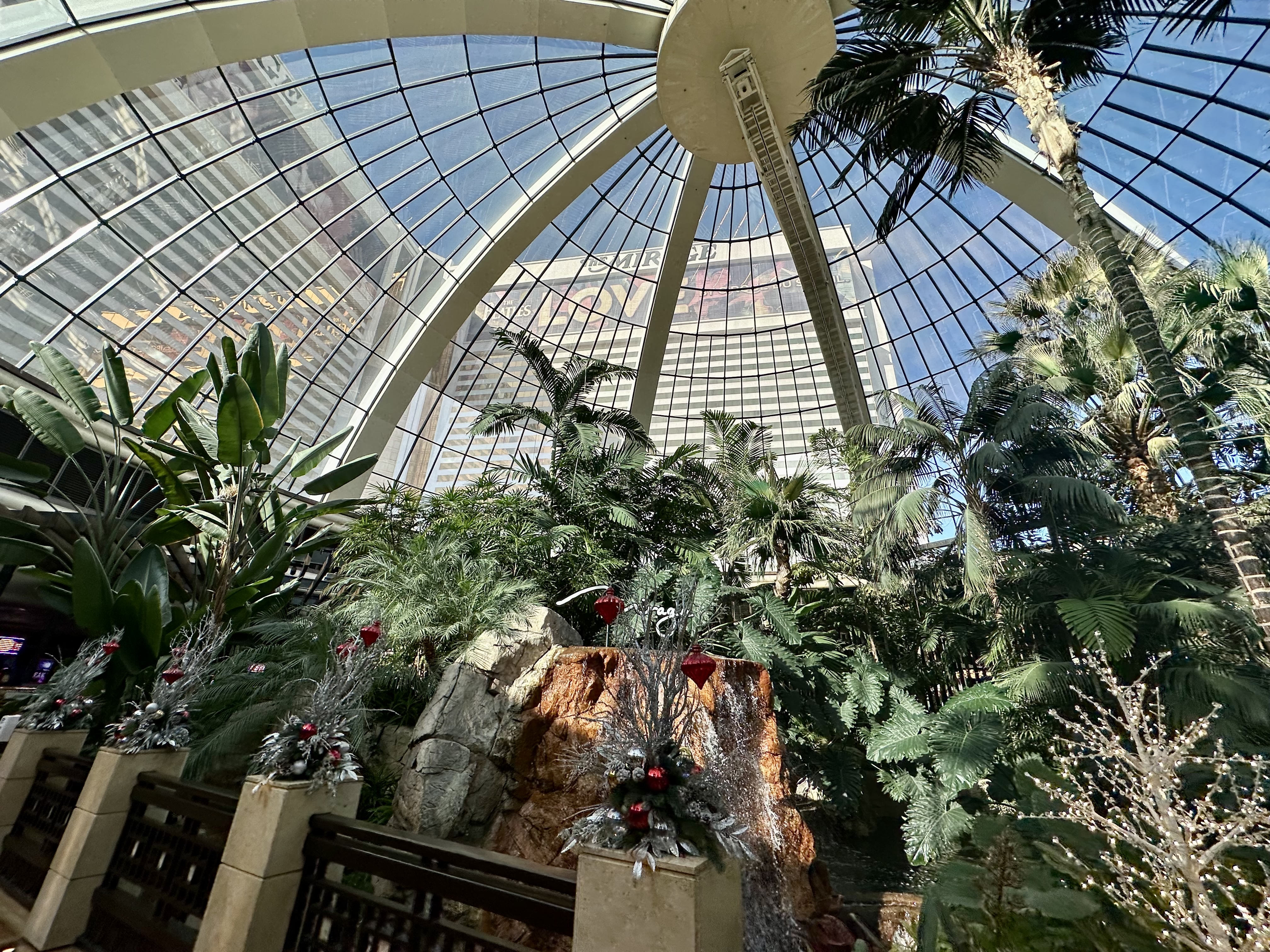 a glass dome with plants and trees