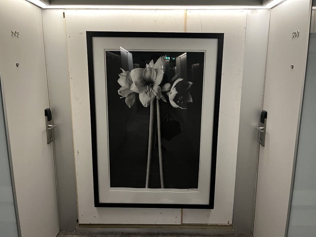 a picture of flowers in a frame on a wall