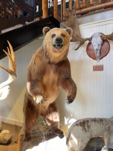 a stuffed bear standing on its hind legs