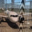 a plane in the airport