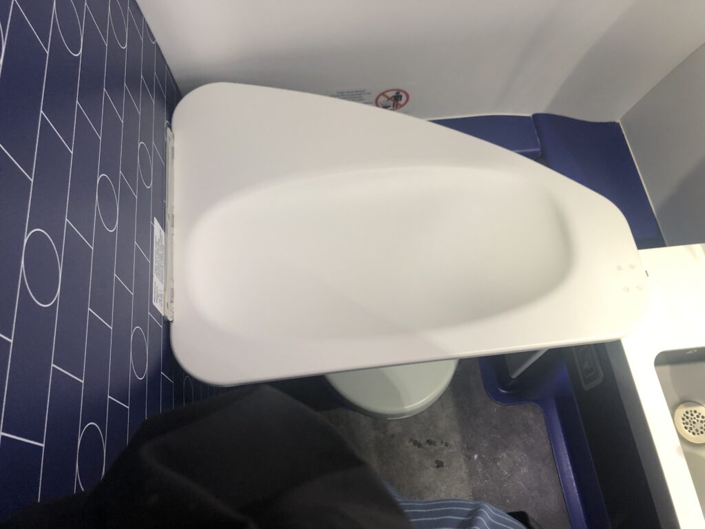 a toilet seat on a plane