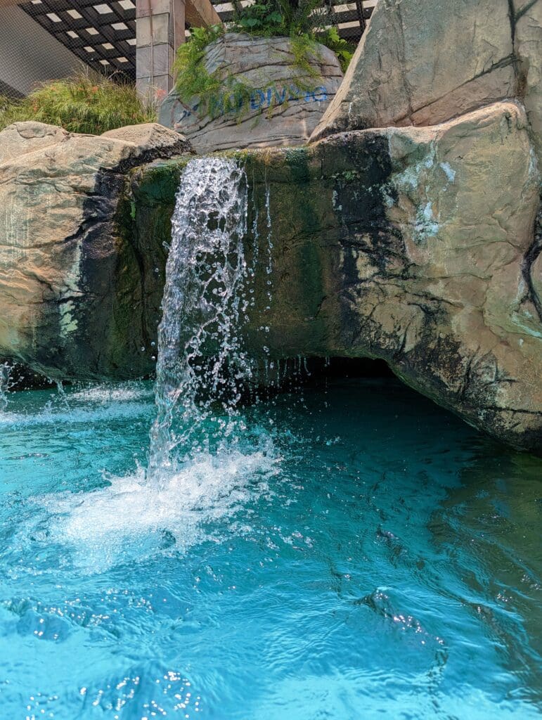 Waterfalls at the pool