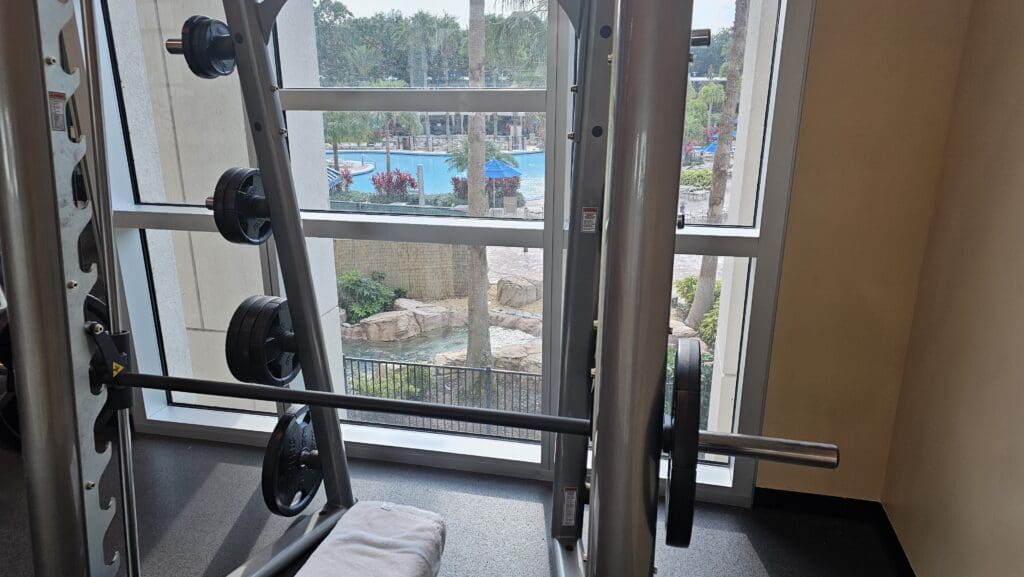 a gym with weights and a pool in the background