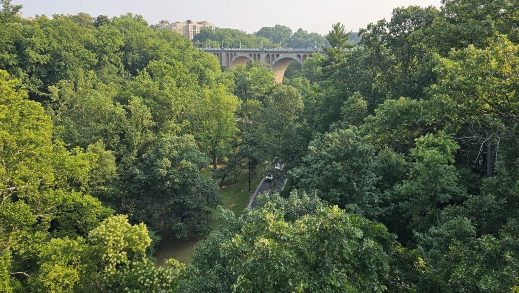 a bridge over a road surrounded by trees