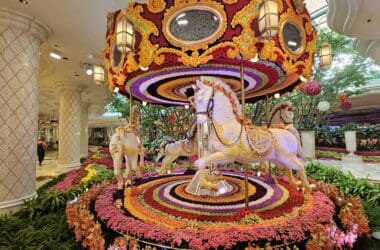 a carousel with horses and flowers