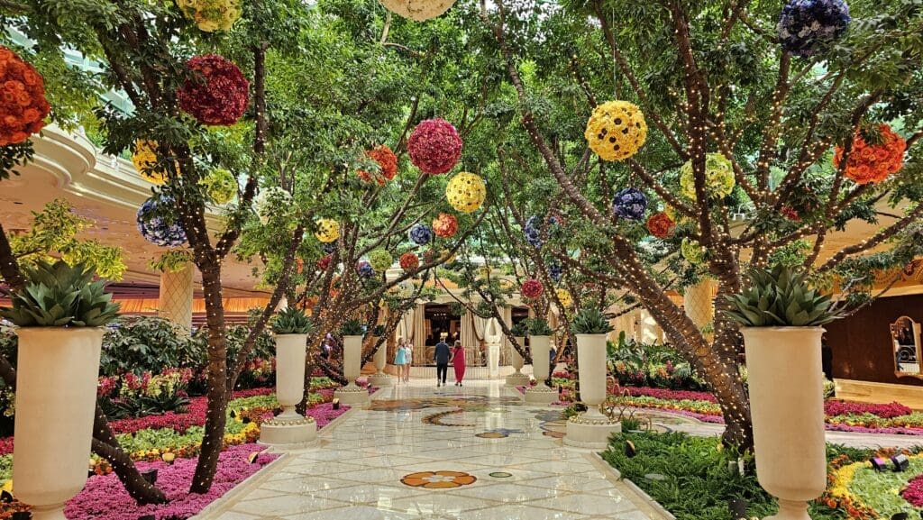 a walkway with flowers and trees