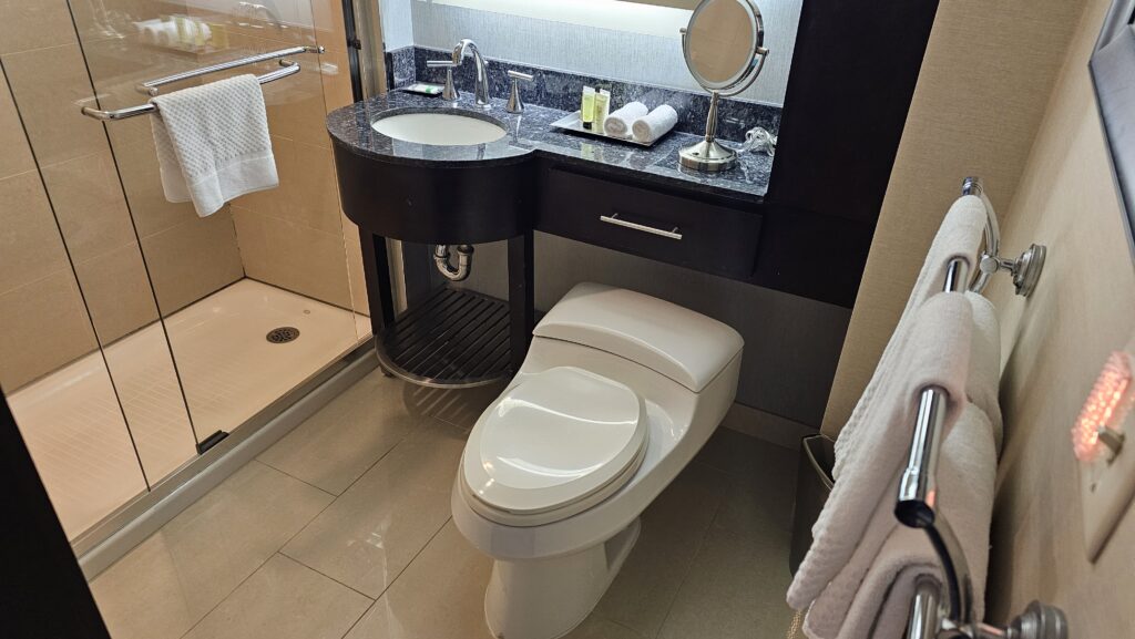 a bathroom with a sink and toilet