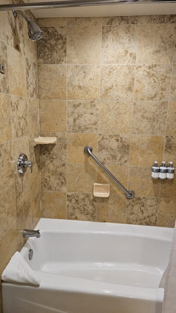 a bathroom with a shower and a bathtub