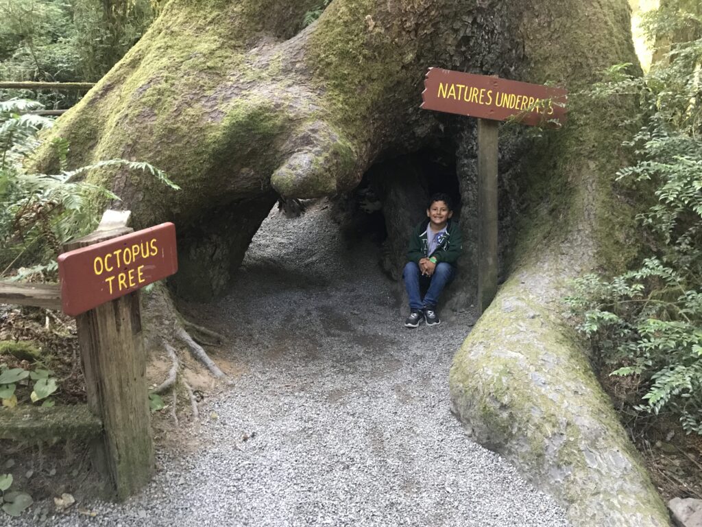 a boy sitting in a cave