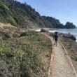 a person walking on a path near a body of water