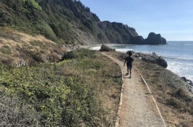 a person walking on a path near a body of water