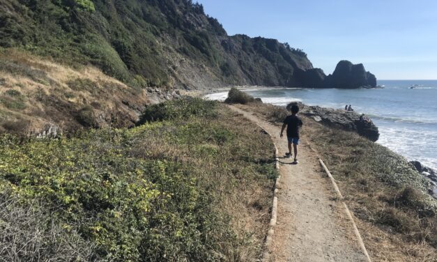 Deserted Beaches and Idyllic Redwoods: A California North Coast Staycation