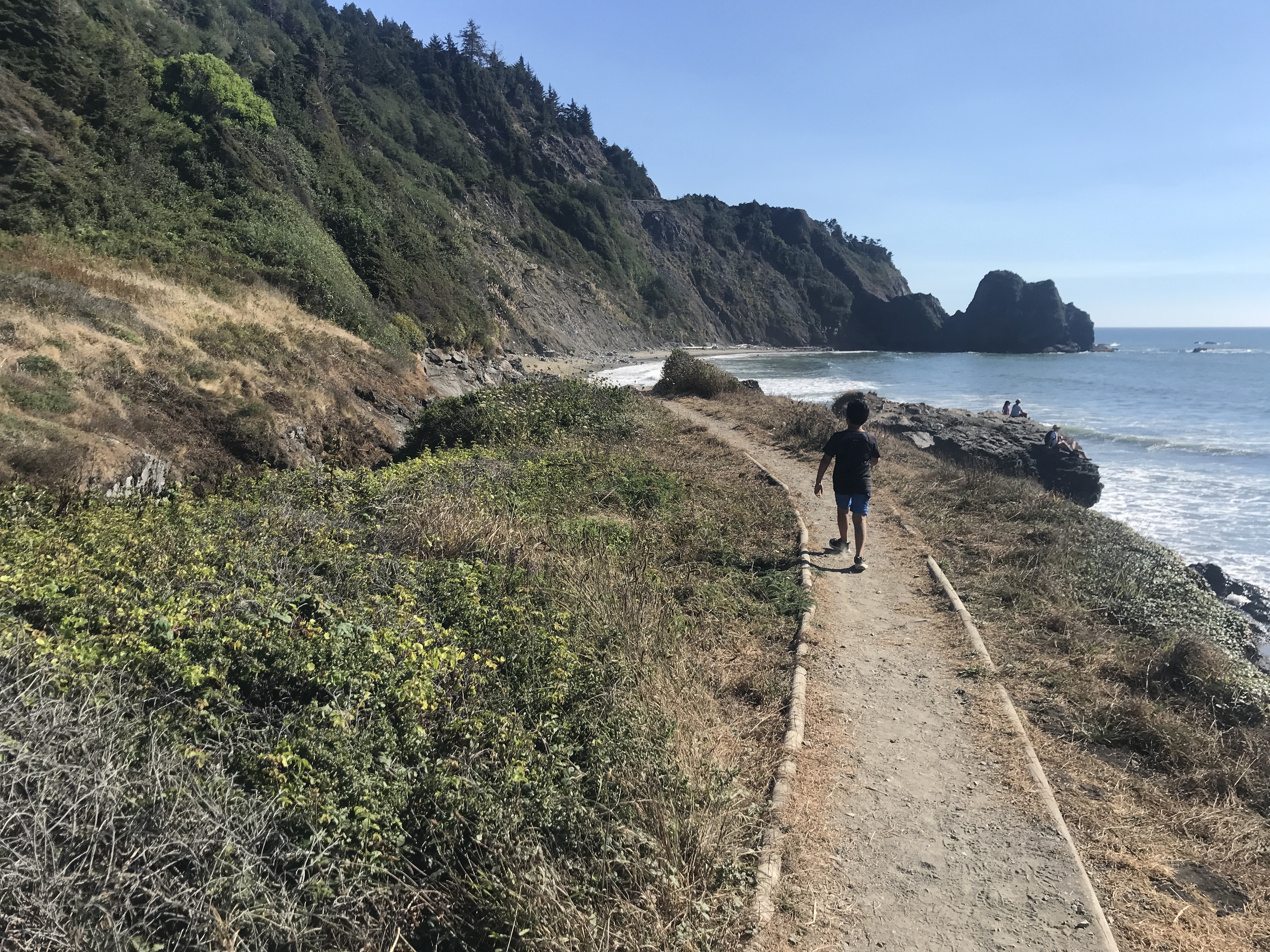 a person walking on a path near a body of water