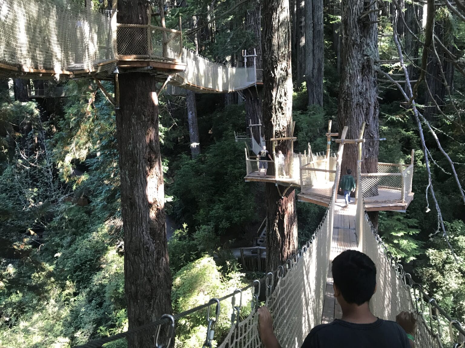 California North Coast Staycation Exploring Del Norte County