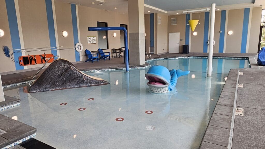 a swimming pool with a toy whale in it