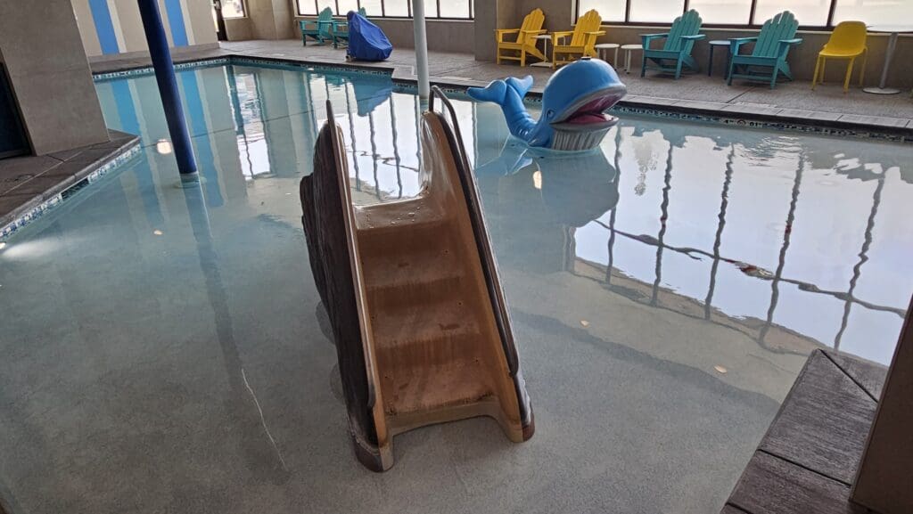 a swimming pool with a slide and a whale in it