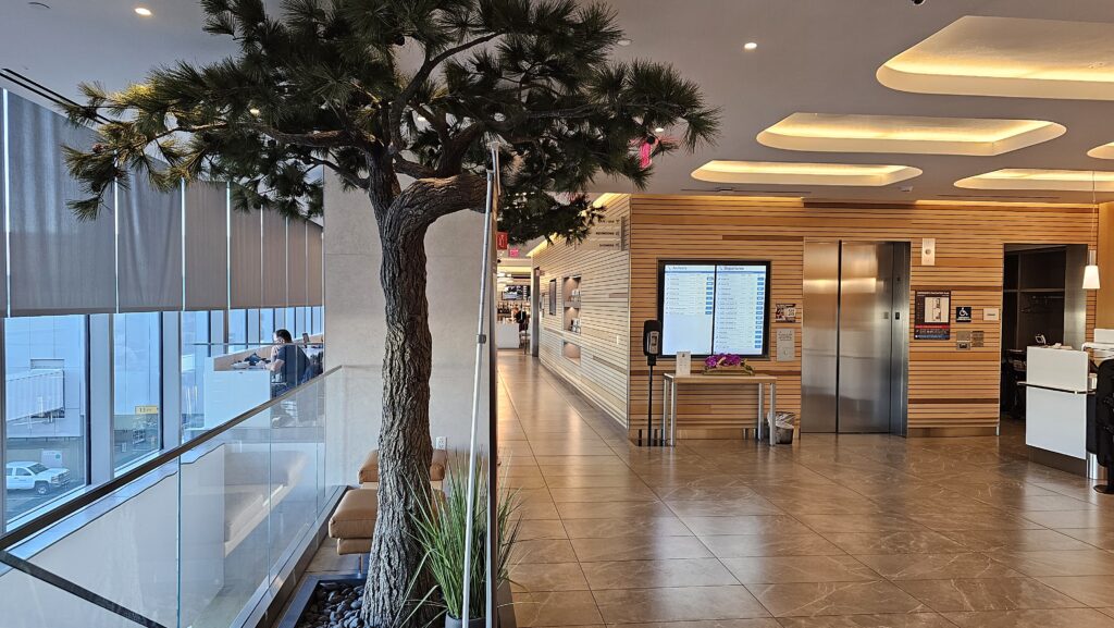 a tree in a lobby
