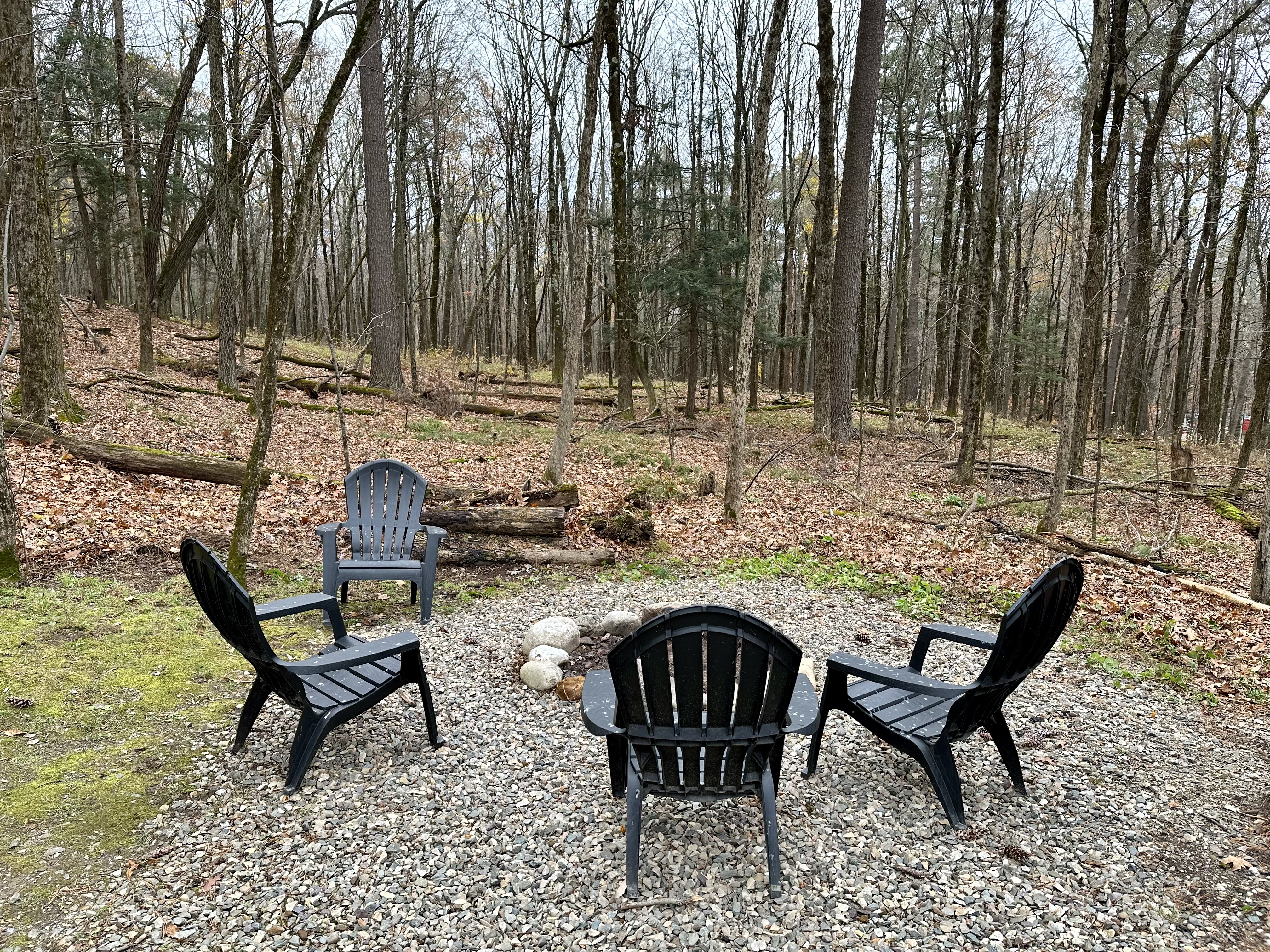 chairs around a fire pit in the woods