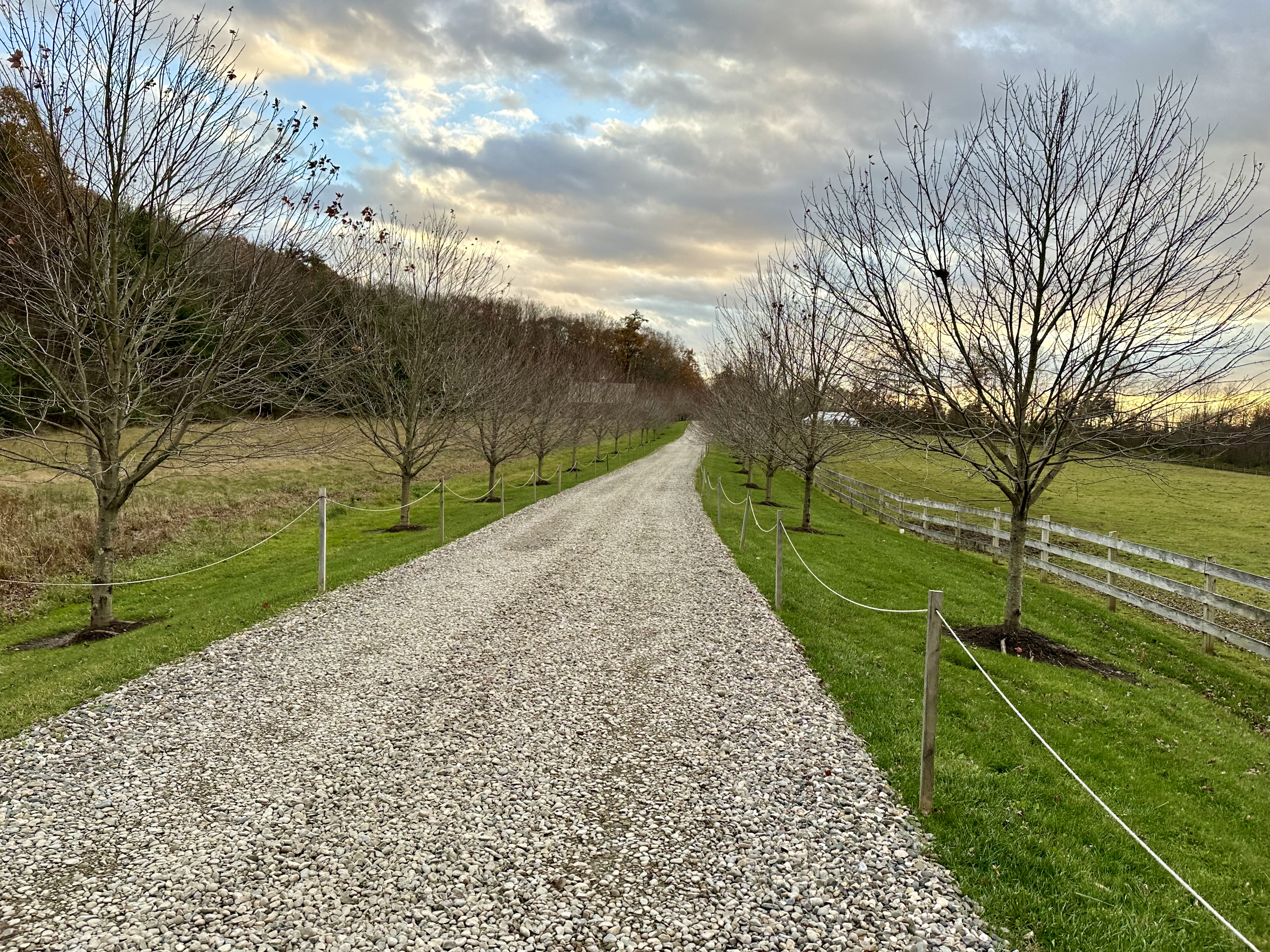 a gravel road with trees and grass
