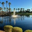 a fountain in a pond with palm trees