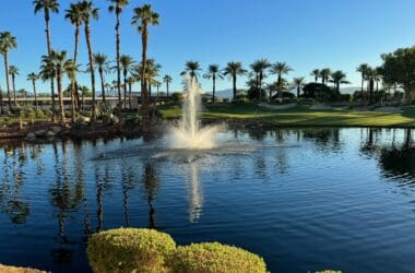 a fountain in a pond with palm trees