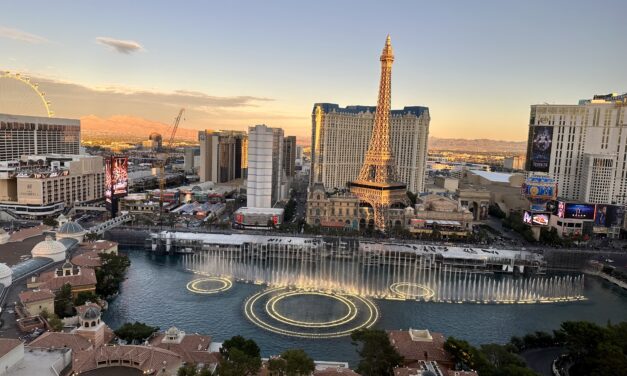 Las Vegas Review: Bellagio Fountain View Stay Well Room