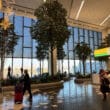 people walking in a large room with trees and plants