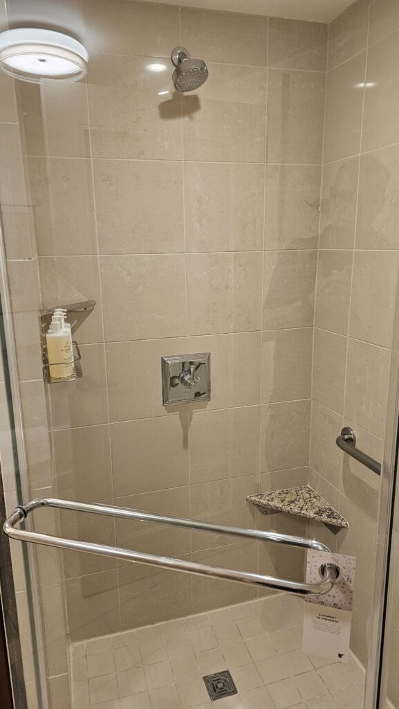 a shower with a shower head and a handrail