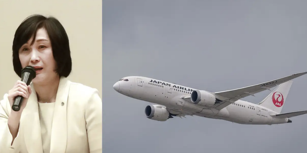 Flight attendant rises ranks, becomes airline President!