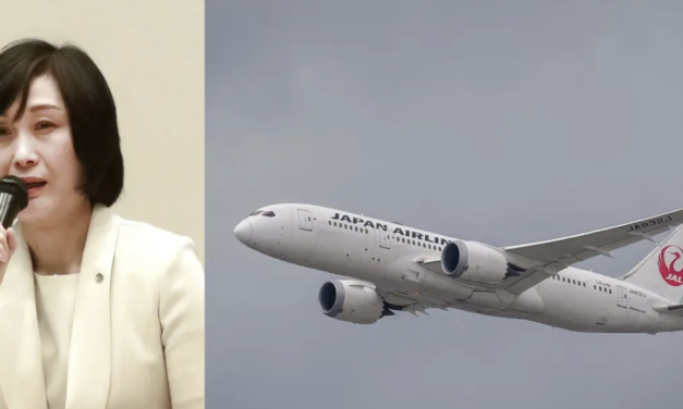Flight attendant rises ranks, becomes airline President!