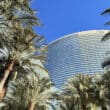 a tall building with palm trees