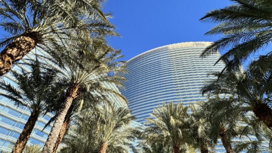a tall building with palm trees