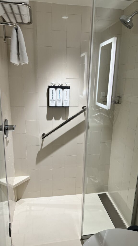 a shower with a hand rail and a mirror