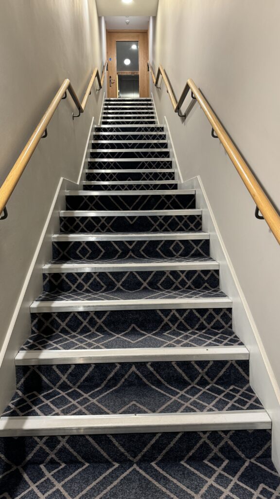 a set of stairs with a carpeted surface