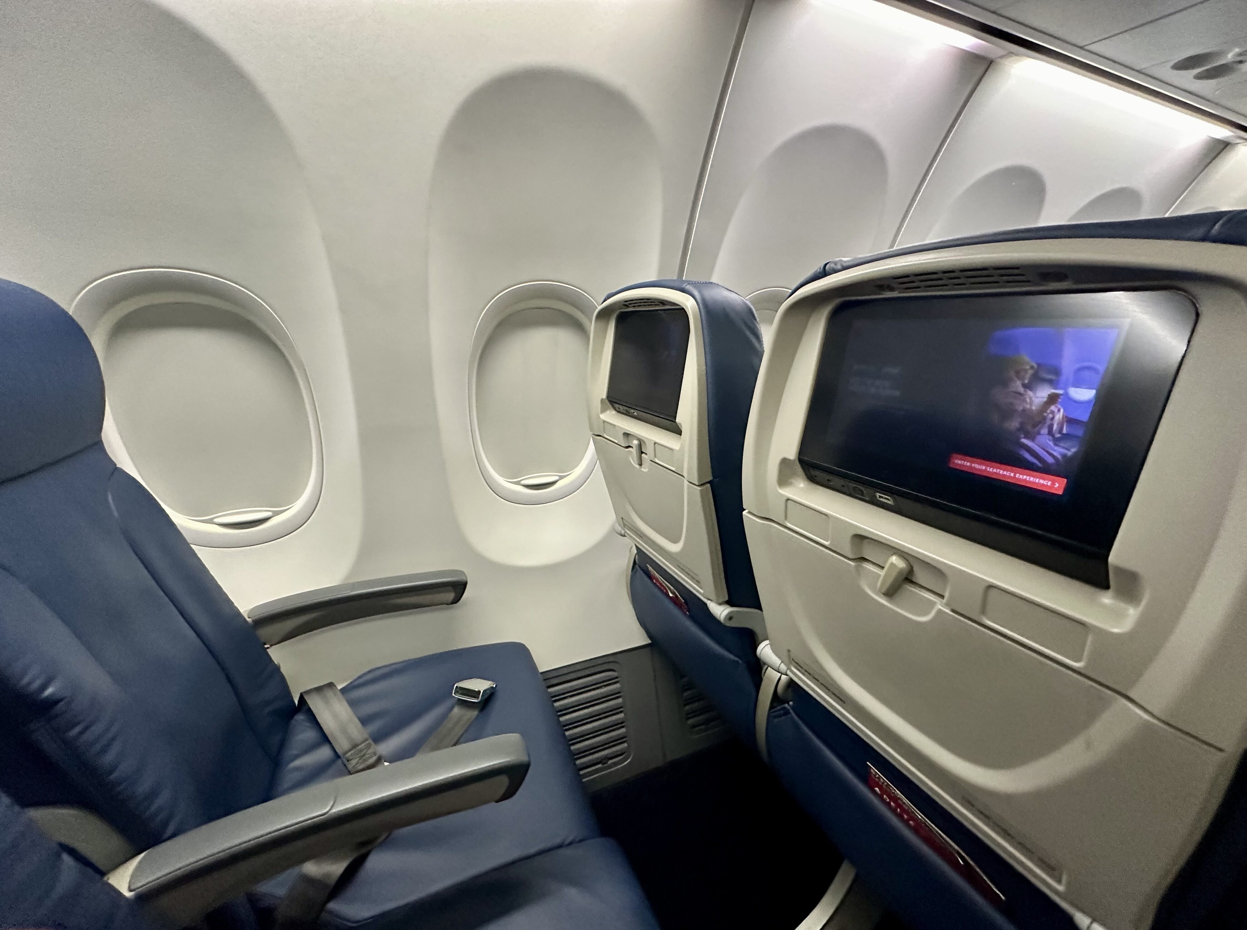 A Delta Boeing 737 with seats and a television