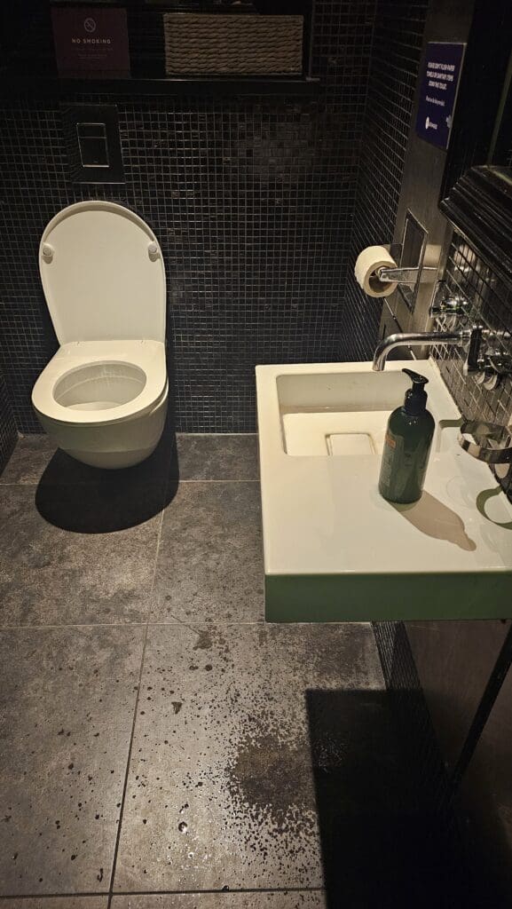 a bathroom with a sink and toilet