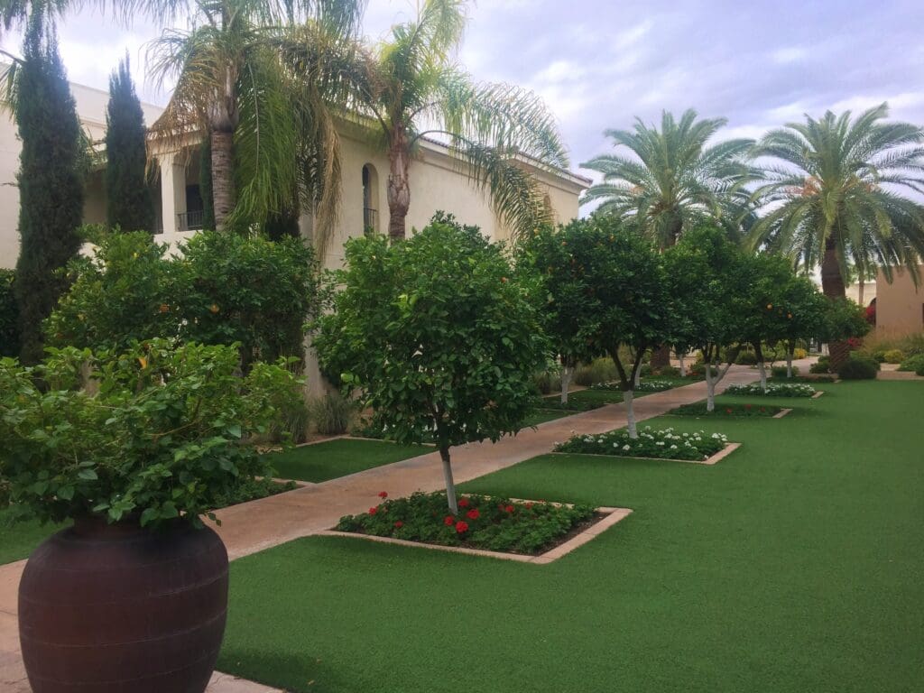 a garden with trees and plants in front of a building