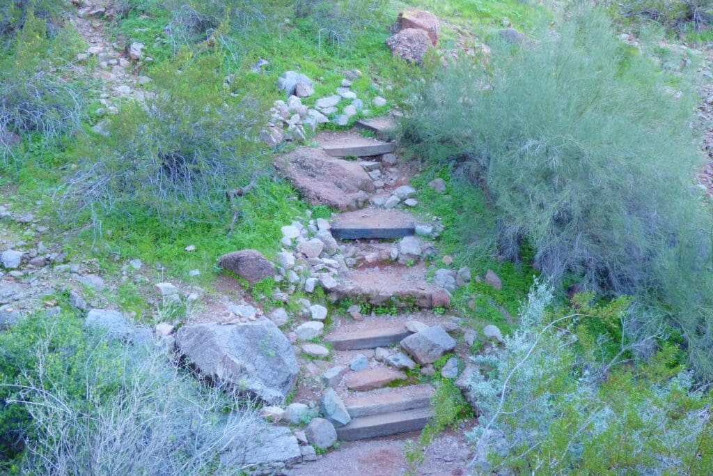 a stone stairs in a grassy area