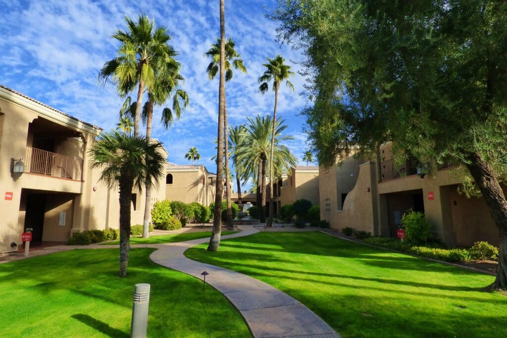 a walkway in a courtyard with palm trees