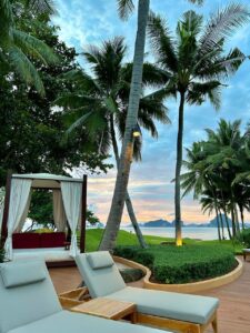 a deck with lounge chairs and palm trees