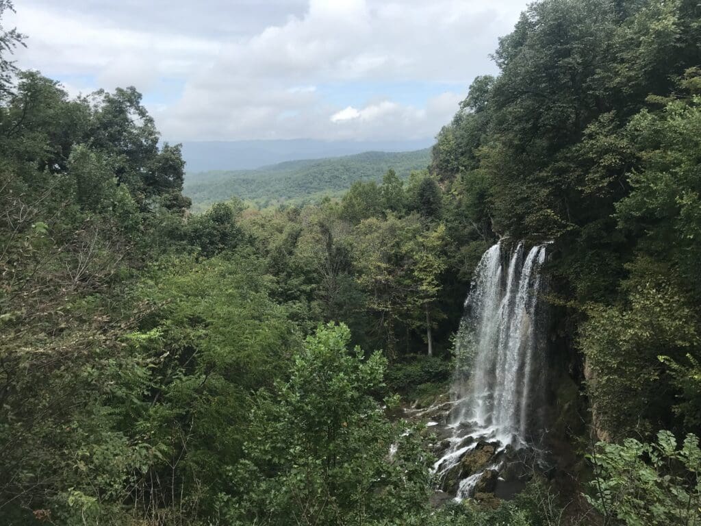 a waterfall in the forest