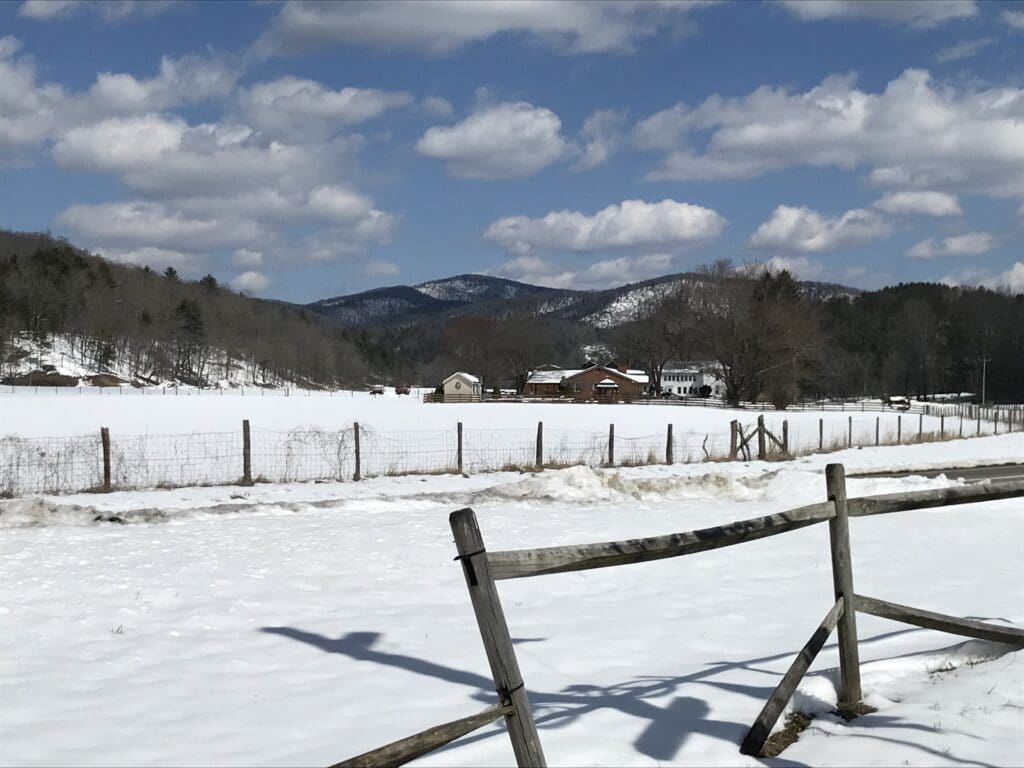 a fence in a snowy field