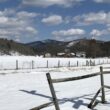 a fence in a snowy field