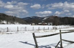 a fence in a snowy field