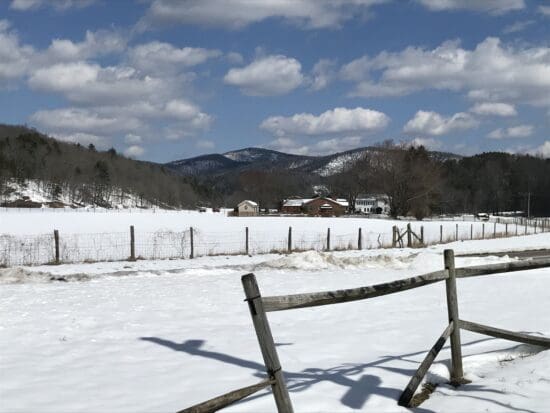 a fence in a snowy field