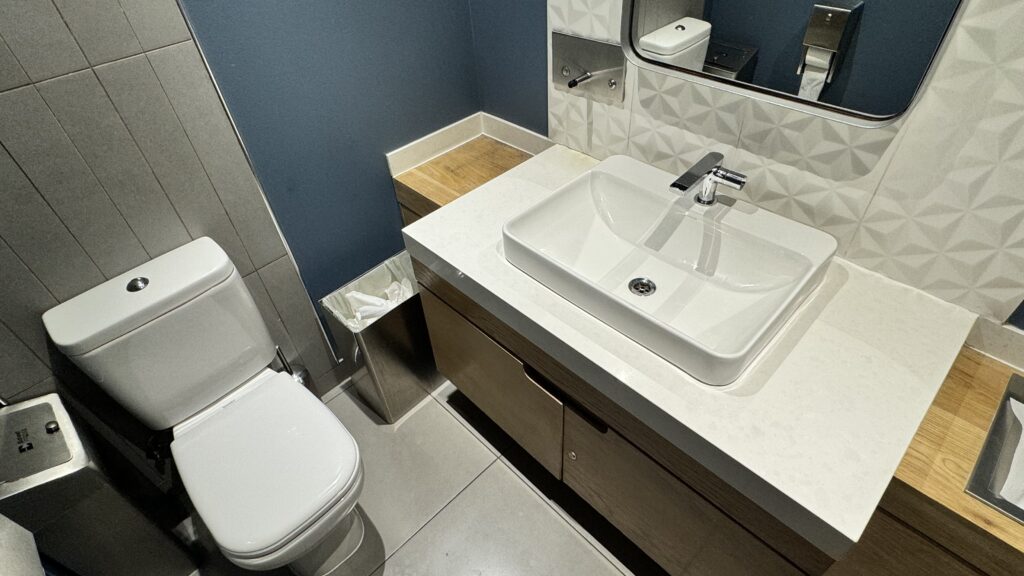 a bathroom with a sink and toilet